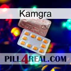 Kamgra new13